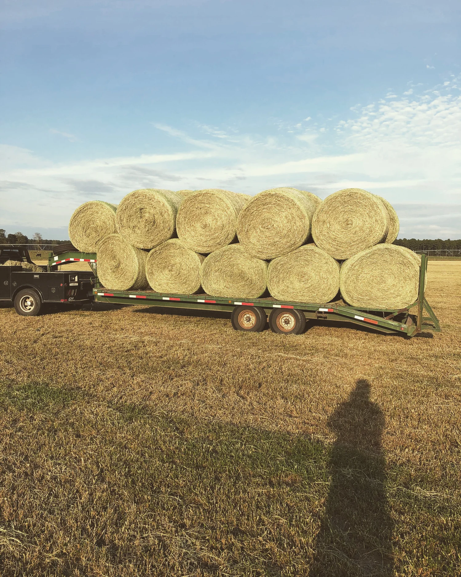 Round bales loaded on a hay trailer
